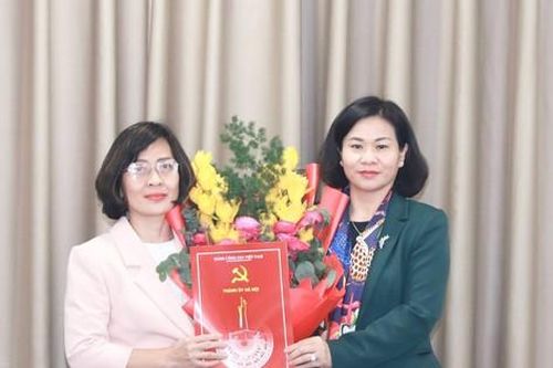 Điều động, luân chuyển, bổ nhiệm cán bộ chủ chốt ở Hà Nội và 11 tỉnh