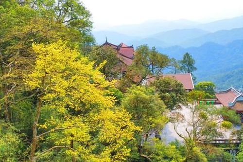 Về Yên Tử mùa khoác áo cà sa