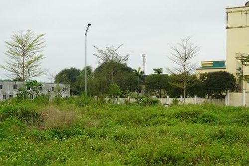Hà Tĩnh: Đại dự án hơn 1.200 tỷ bất động, cỏ mọc um tùm trên 'đất vàng'