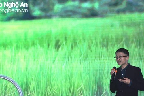 'Thiết kế Vị nhân sinh' phục vụ cho đời sống của con người