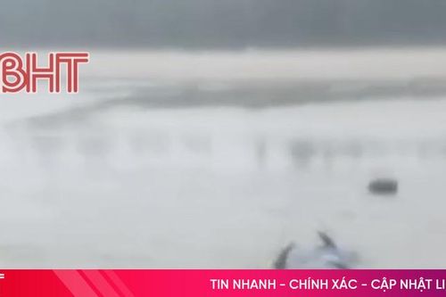 Ngư dân Hà Tĩnh đánh bắt được gần 20 con cá lạ