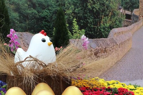 Chiêm ngưỡng các loài hoa nở rộ tại Triển lãm Hoa Hong Kong 2024