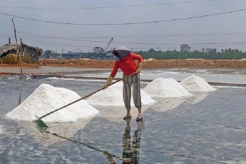 Mùa 'muối đắng' của diêm dân Cà Mau