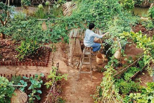 Ở phố hay về quê?