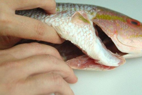 Cá rất tốt nhưng có 5 bộ phận 'cực bẩn', tuyệt đối không nên ăn