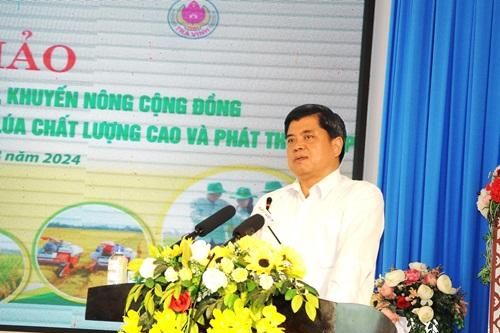 Lực lượng 'nòng cốt' của đề án 1 triệu hec-ta lúa chất lượng cao Đồng bằng sông Cửu Long