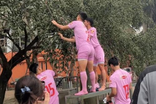 Hot boy đội tuyển Việt Nam hóa trẻ thơ vít cành hái táo sau buổi tập nhưng dân tình chỉ chú ý đến body cực phẩm