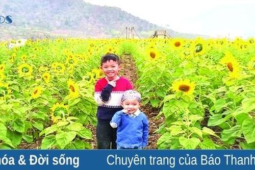 Rực rỡ những mùa hoa nơi miền Tây xứ Thanh