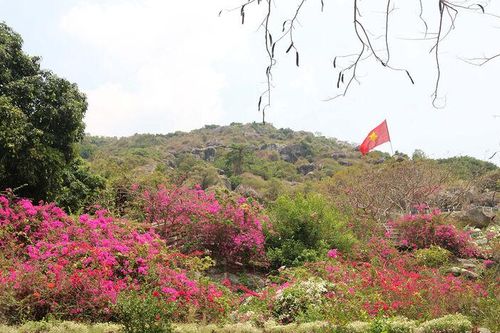 Sắc hoa trên 'ngọn đồi 2 triệu đô la'