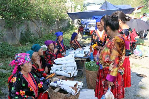 Khám phá rẻo cao Tủa Chùa
