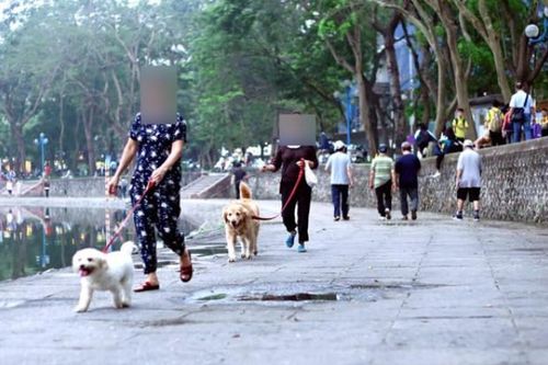Thủ tướng Chính phủ yêu cầu tập trung thực hiện nghiêm công tác phòng, chống bệnh Dại