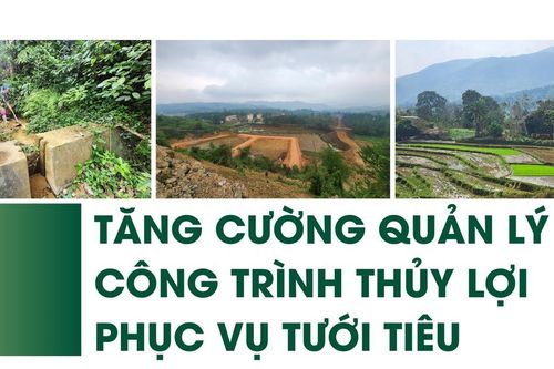 Tăng cường quản lý công trình thủy lợi phục vụ tưới tiêu