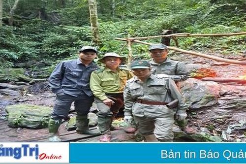 'Biệt đội' gỡ bẫy thú rừng