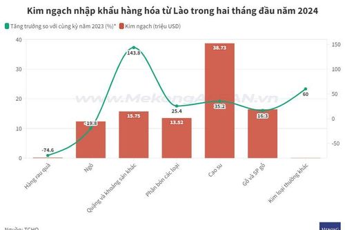 Việt Nam nhập khẩu mặt hàng nào từ Lào?