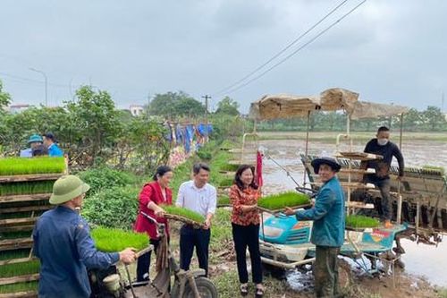Hiệu quả từ những mô hình không bỏ ruộng hoang