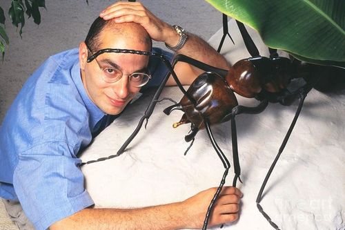 Trải nghiệm bị kiến độc cắn giúp nhà văn viết tác phẩm nổi tiếng