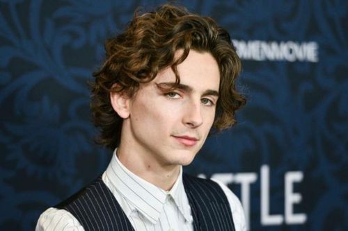 Timotheé Chalamet - sao hạng A mới của Hollywood
