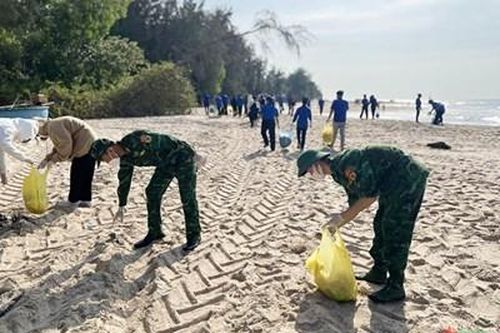 Bình Thuận tổ chức 'Ngày Chủ nhật xanh' đợt 1 năm 2024