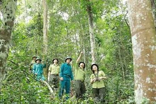 Đẩy mạnh tuyên truyền chủ trương của Đảng về bảo vệ rừng
