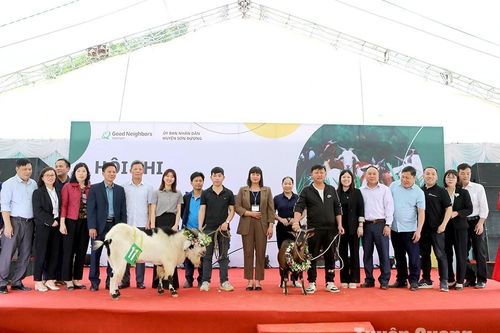Hội thi Dê - Nét đẹp văn hóa đầu Xuân ở Tuyên Quang