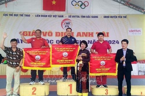 Đoàn Bắc Giang xếp nhì toàn đoàn tại Giải vô địch Anh tài vật dân tộc quốc gia 2024
