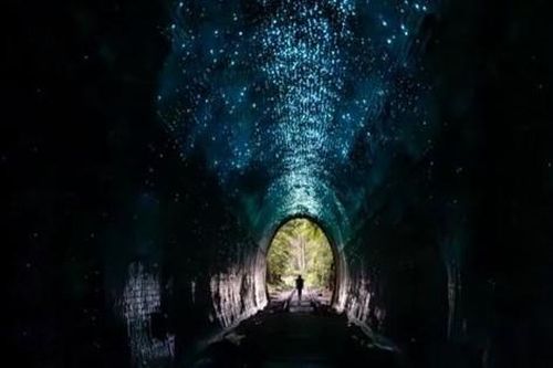 Tò mò đường hầm trăm năm với vệt sáng lạ