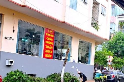 Làm rõ việc cựu giám đốc Sở Tư pháp tỉnh Gia Lai tự ý cắt ngọn cây trên vỉa hè