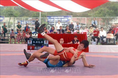 Khai mạc Giải vô địch các Câu lạc bộ Vật cổ điển, Vật tự do quốc gia năm 2024