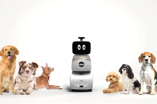 Robot hỗ trợ toàn diện