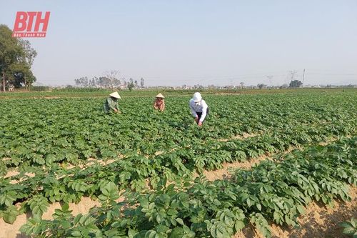 Huy động các nguồn lực xây dựng xã nông thôn mới nâng cao Liên Lộc