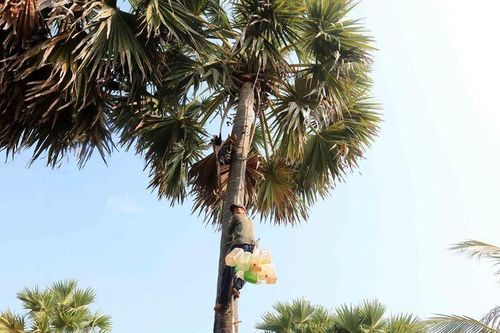 Chuyện nghề 'Ăn cơm dưới đất, làm việc trên trời'