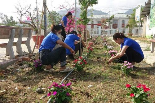 Tuổi trẻ Tri Tôn ra quân hưởng ứng 'Ngày chủ nhật xanh'