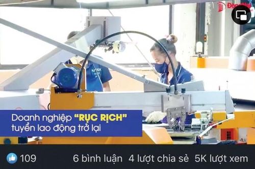 Báo Đồng Nai điện tử có nhiều bản tin về lao động - việc làm