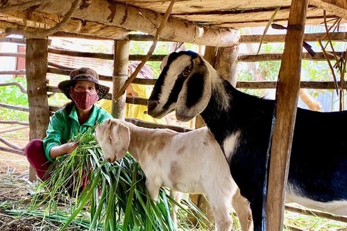 Nhiều hoạt động hỗ trợ đồng bào dân tộc thiểu số thoát nghèo