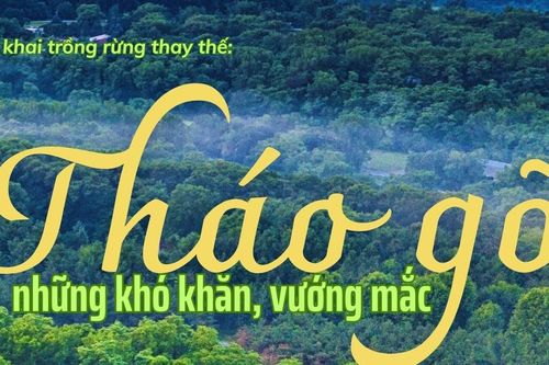 Tháo gỡ những khó khăn, vướng mắc