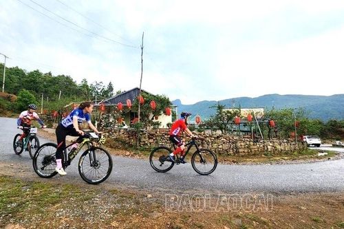 Sắp diễn ra Giải đua xe đạp 'Đi giữa mùa hoa đỗ quyên' năm 2024