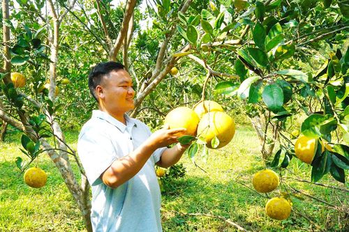 Sức trẻ nơi đất khó