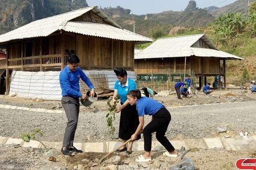 Ngày cao điểm 'Tình nguyện chung tay xây dựng nông thôn mới'