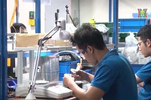 Việt Nam sắp đón đoàn 50 doanh nghiệp hàng đầu nước Mỹ