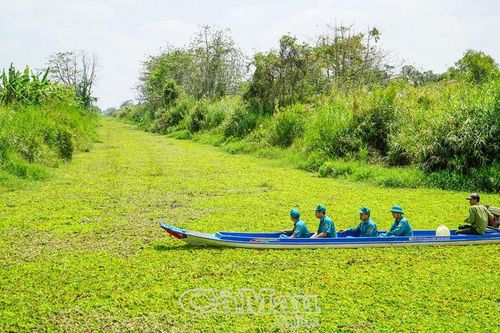 Hồi sinh 'rừng vàng, biển bạc' - Bài cuối: Những gợi ý khả thi