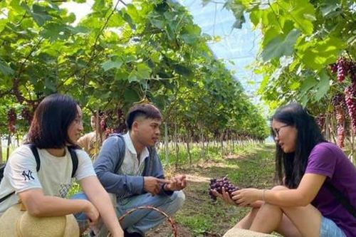 Người truyền cảm hứng, khát vọng khởi nghiệp