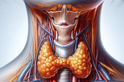 Basedow: Nguyên nhân, triệu chứng, phòng bệnh và cách điều trị