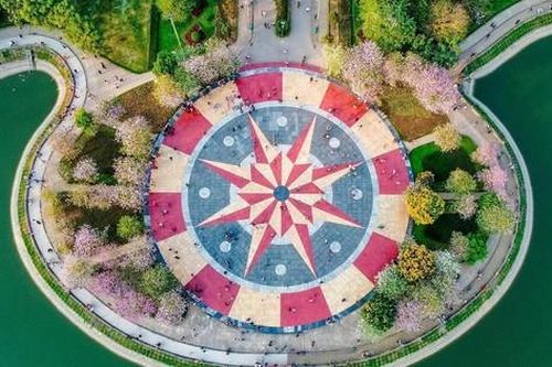 Ngắm nhìn hoa ban nở rực rỡ từ trên cao