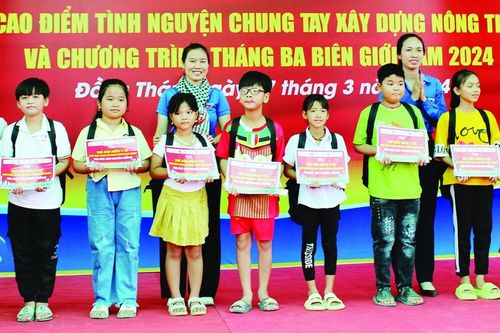 Người trẻ chung tay cải tạo môi trường, xây dựng nông thôn mới