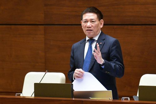 Lý do chưa triển khai được đặt cược bóng đá, đua ngựa, đua chó