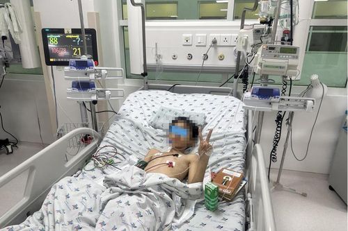 Bé trai bị đàn bò giẫm đa chấn thương