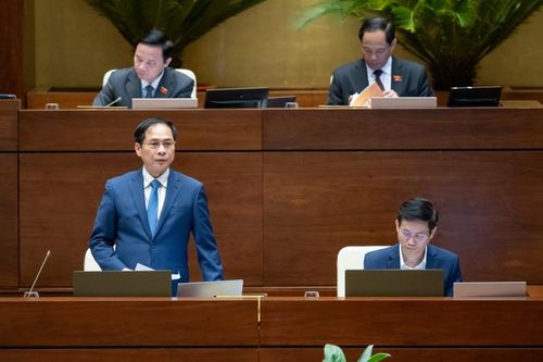 Bộ trưởng Ngoại giao nói về giải cứu công dân bị lừa sang lao động ở nước ngoài