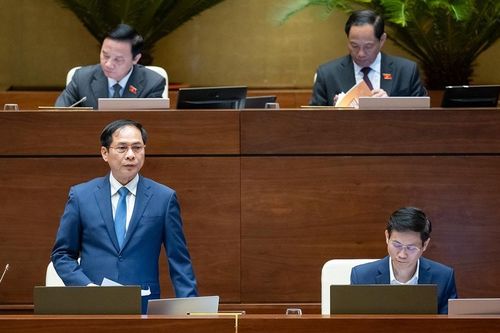 Ủy ban Thường vụ Quốc hội: Bộ trưởng Ngoại giao Bùi Thanh Sơn trả lời chất vấn lĩnh vực ngoại giao