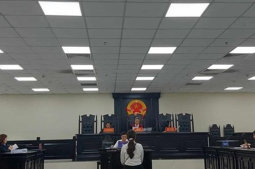 Ra tòa vì tổ chức cho người khác trốn đi nước ngoài bằng hình thức du học trại hè