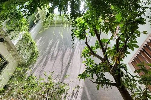 Biệt thự sân vườn bình yên giữa lòng Tây Đô